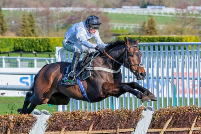 How Horse Racing Supports Equine Veterinary Research
