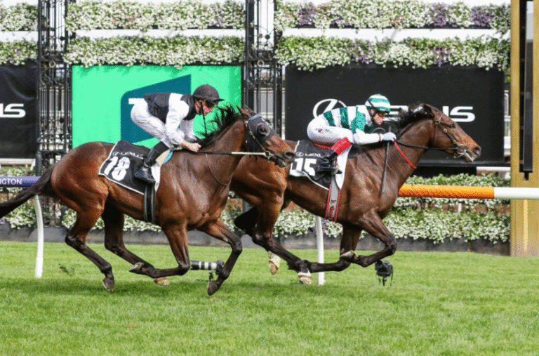 The Evolution of Horse Racing: Past Present and Future