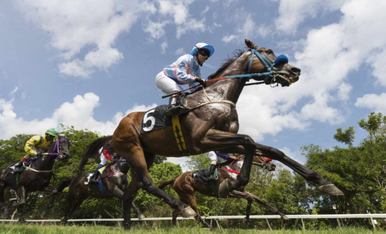 Understanding the Various Forms of Horse Racing